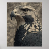 Het Eagle Poster (Voorkant)