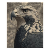 Het Eagle Poster (Voorkant)