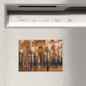 Het echte Spanje Cordoba Magneet (Insitu (Vaatwasser))