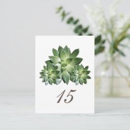 Het eenvoudige Briefkaart van het Succulente Aanta