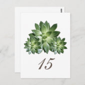 Het eenvoudige Briefkaart van het Succulente Aanta (Voorkant / Achterkant)