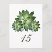 Het eenvoudige Briefkaart van het Succulente Aanta (Voorkant)