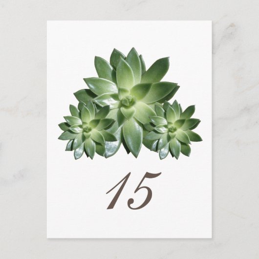 Het eenvoudige Briefkaart van het Succulente Aanta (Voorkant)