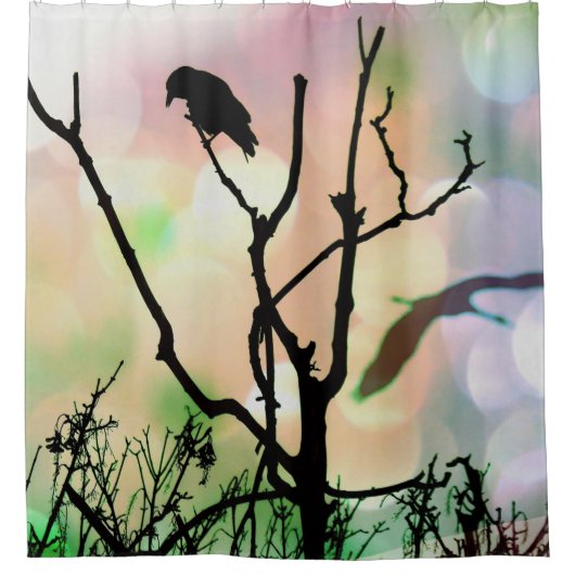 Het eenzame Gordijn van de Crow Shower (Voorkant)
