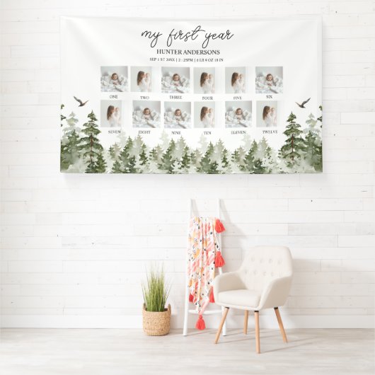 Het eerste jaar van het moderne hertenbos in Baby Spandoek (Insitu)