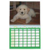 Het eerste jaar van Kosmo Kalender (Mar 2027)