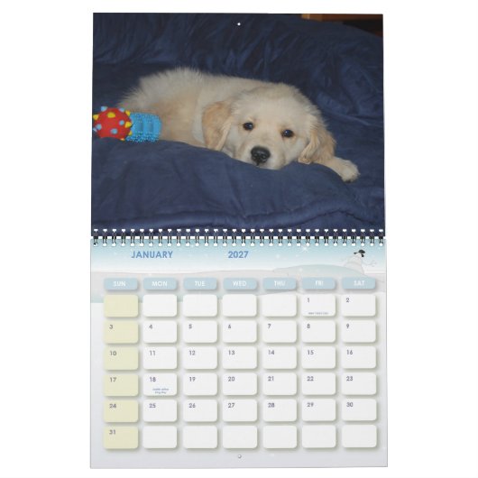 Het eerste jaar van Kosmo Kalender (Jan 2027)