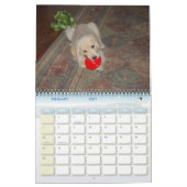 Het eerste jaar van Kosmo Kalender (Feb 2027)