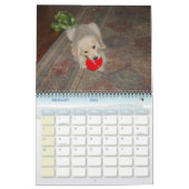 Het eerste jaar van Kosmo Kalender (Feb 2026)