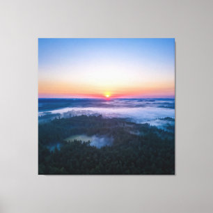 Het eerste licht van de dageraad verlicht het bos canvas afdruk