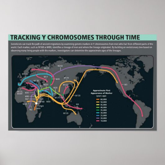 Het eerste Poster voor migratie (Voorkant)