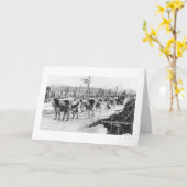 Het eerste Team Alaska 1910 van de Hond Kaart (Gele Bloem)