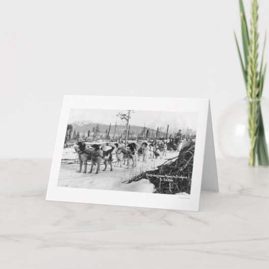 Het eerste Team Alaska 1910 van de Hond Kaart (Voorkant)