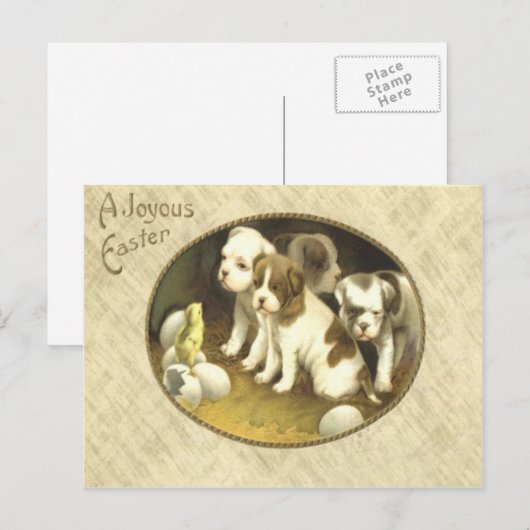 Het Ei van het Kuiken van Pasen van het Puppy van Feestdagenkaart (Voorkant / Achterkant)