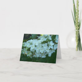 Het eiken Wenskaart van de Bloei van de Hydrangea Kaart