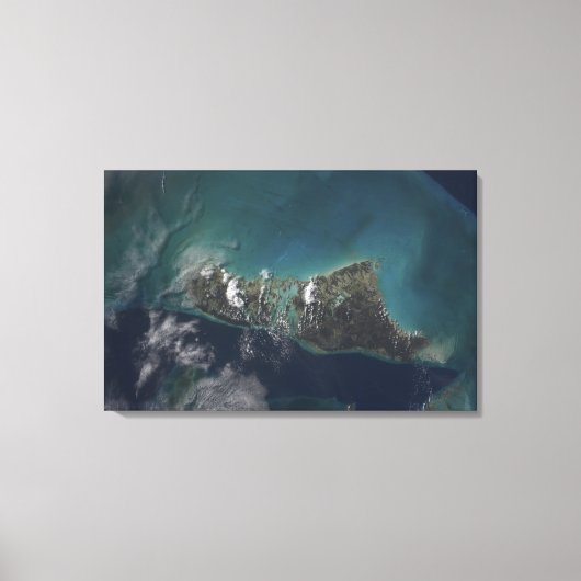 Het eiland Andros van de Bahama's Canvas Afdruk (Voorkant)