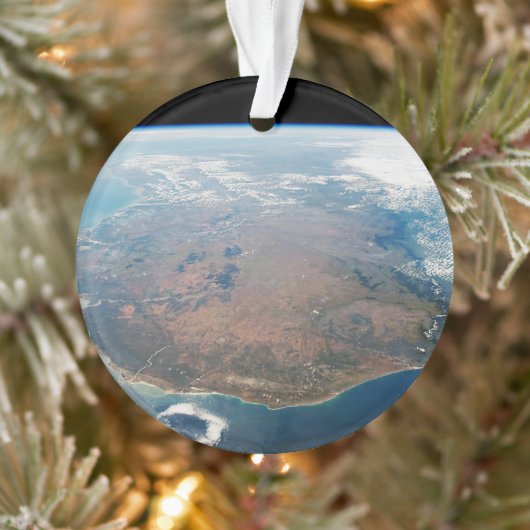 Het eiland Madagaskar. Ornament (Boom)