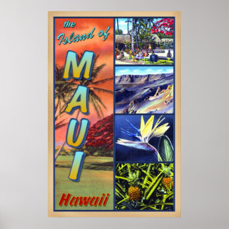 Het eiland Maui Hawaii Poster