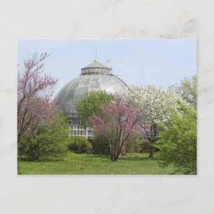 Het Eiland van de schoonheid, Detroit, Michigan - Briefkaart