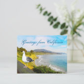 Het Eiland van de zeemeeuw Briefkaart (Staand voorkant)