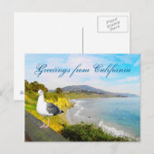 Het Eiland van de zeemeeuw Briefkaart (Voorkant / Achterkant)