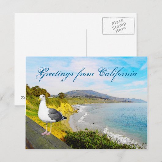 Het Eiland van de zeemeeuw Briefkaart (Voorkant / Achterkant)