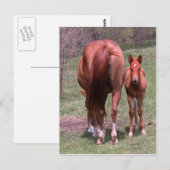Het einde en het begin briefkaart (Voorkant / Achterkant)