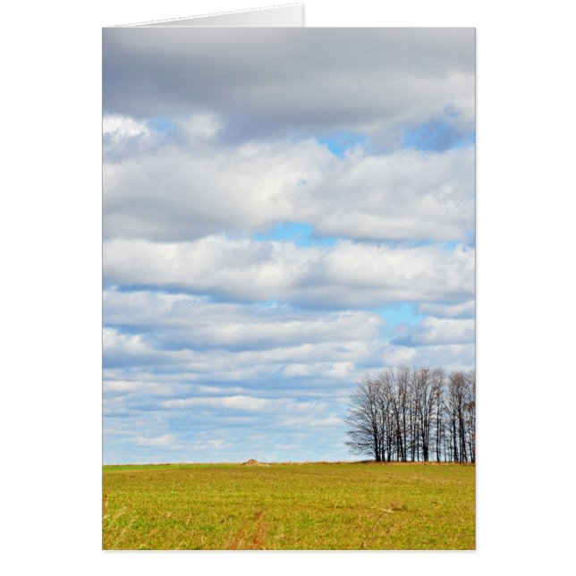 Het einde van de boomlijn (Voorkant)