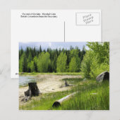 Het einde van het meer - het Marshall-meer Briefkaart (Voorkant / Achterkant)