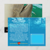 Het eindeloze Porpoise van Yangtze is bedreigd, zi Briefkaart (Voorkant / Achterkant)