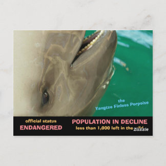 Het eindeloze Porpoise van Yangtze is bedreigd, zi Briefkaart