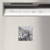 Het elektrische licht magneet (Insitu (Vaatwasser))