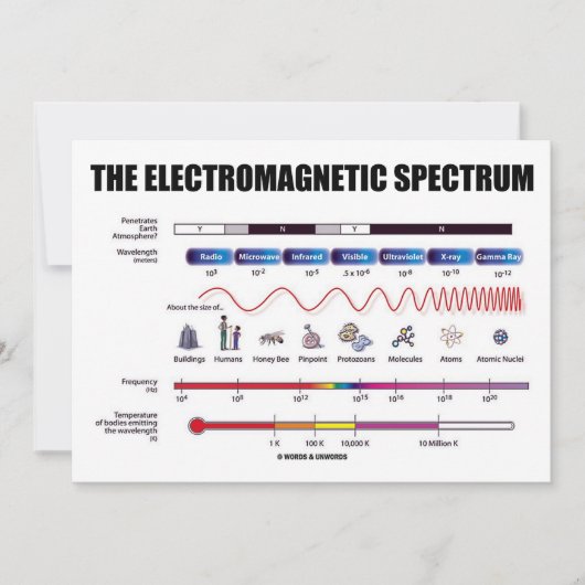 Het elektromagnetisch spectrum (fysica) kaart (Voorkant)