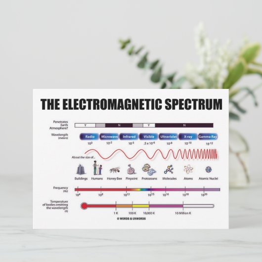 Het elektromagnetisch spectrum (fysica) kaart (Staand voorkant)