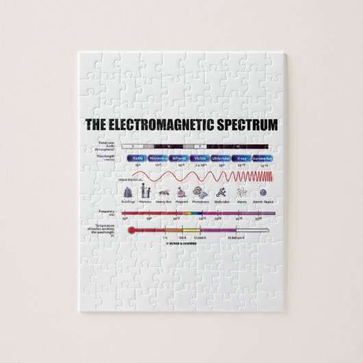 Het elektromagnetische spectrum (Fysica-golflengte Legpuzzel (Verticaal)