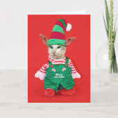 Het Elf van de Kat van Kerstmis Feestdagen Kaart (Voorkant)