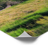 Het Emerald Forest Poster (Hoek)