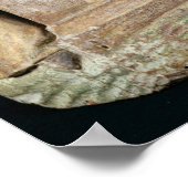 Het emtombment poster (Hoek)