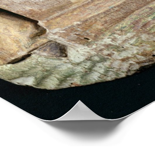 Het emtombment poster (Hoek)