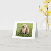 Het Engels snoeit de Kaarten van de Nota van het (Gele Bloem)