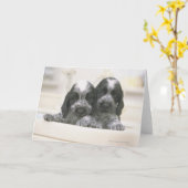 Het Engelse Cocker Spaniel is een hondenras. Het Kaart (Gele Bloem)