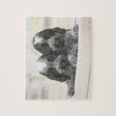 Het Engelse Cocker Spaniel is een hondenras. Het Legpuzzel (Verticaal)