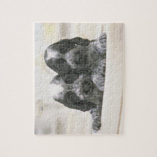 Het Engelse Cocker Spaniel is een hondenras. Het Legpuzzel (Verticaal)