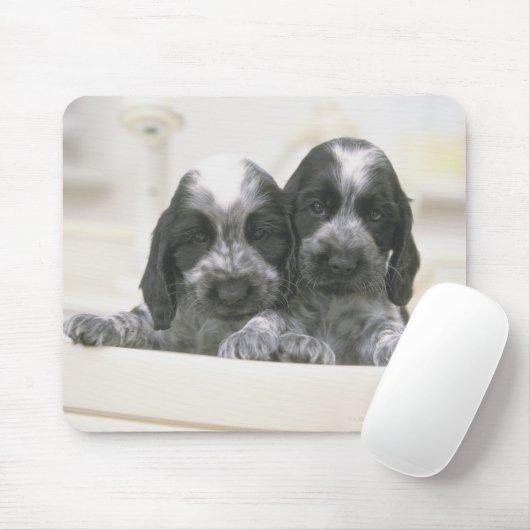 Het Engelse Cocker Spaniel is een hondenras. Het Muismat (Met muis)