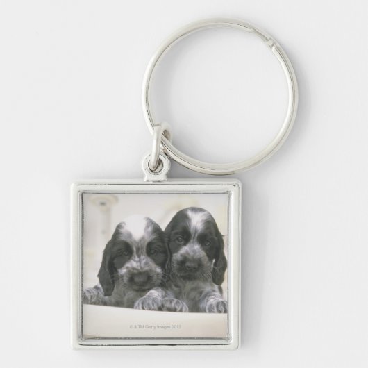 Het Engelse Cocker Spaniel is een hondenras. Het Sleutelhanger (Voorkant)