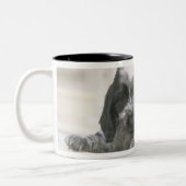 Het Engelse Cocker Spaniel is een hondenras. Het Tweekleurige Koffiemok (Links)