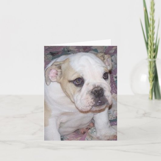 Het Engelse Puppy Notecard van de Buldog Kaart (Voorkant)