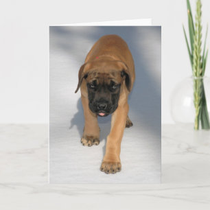Het Engelse Puppy van de Mastiff notecard Kaart