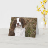 Het Engelse Spaniel van de Aanzetsteen - de Beste Kaart (Gele Bloem)