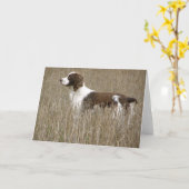 Het Engelse Spaniel van de Aanzetsteen - Wenskaart Kaart (Gele Bloem)
